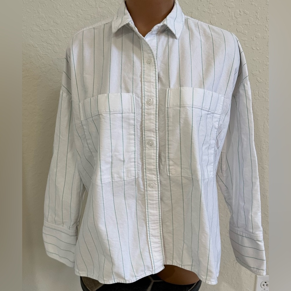 Everlane The Boxy Oxford Striped Shirt